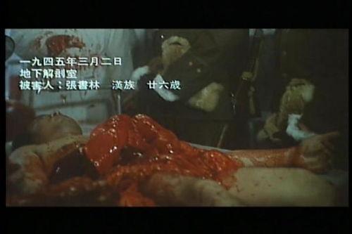 黑太阳731演员表