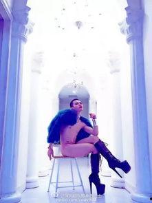 网红妖孽男,网红界的璀璨新星