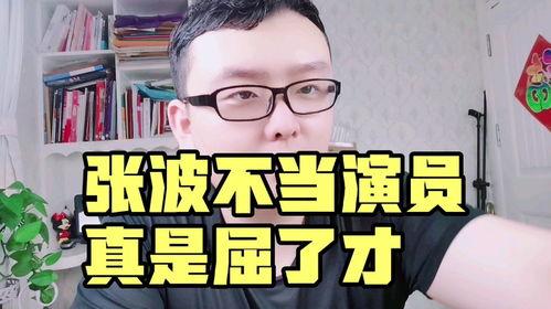 演员张波,光影交织下的演艺人生