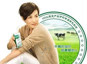 矜持 王菲 背景音乐,旋律中的独立与坚韧