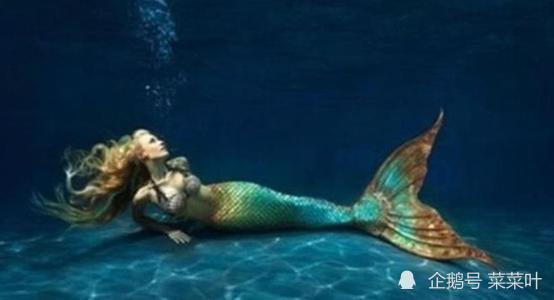 美人鱼图片真实照片,美人鱼的真实风采