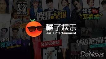 综艺娱乐新媒体,潮流风向标下的娱乐盛宴